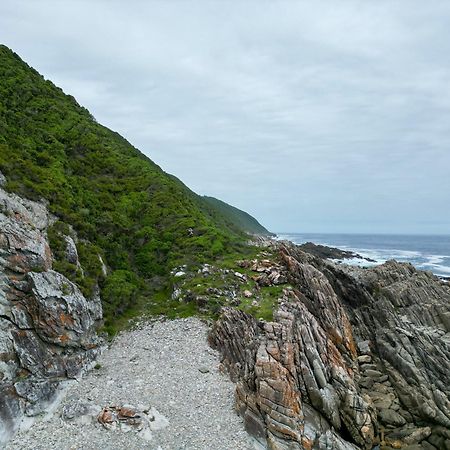 The Stargazing Cube - Misty Mountain Reserve Stormsrivier Ngoại thất bức ảnh